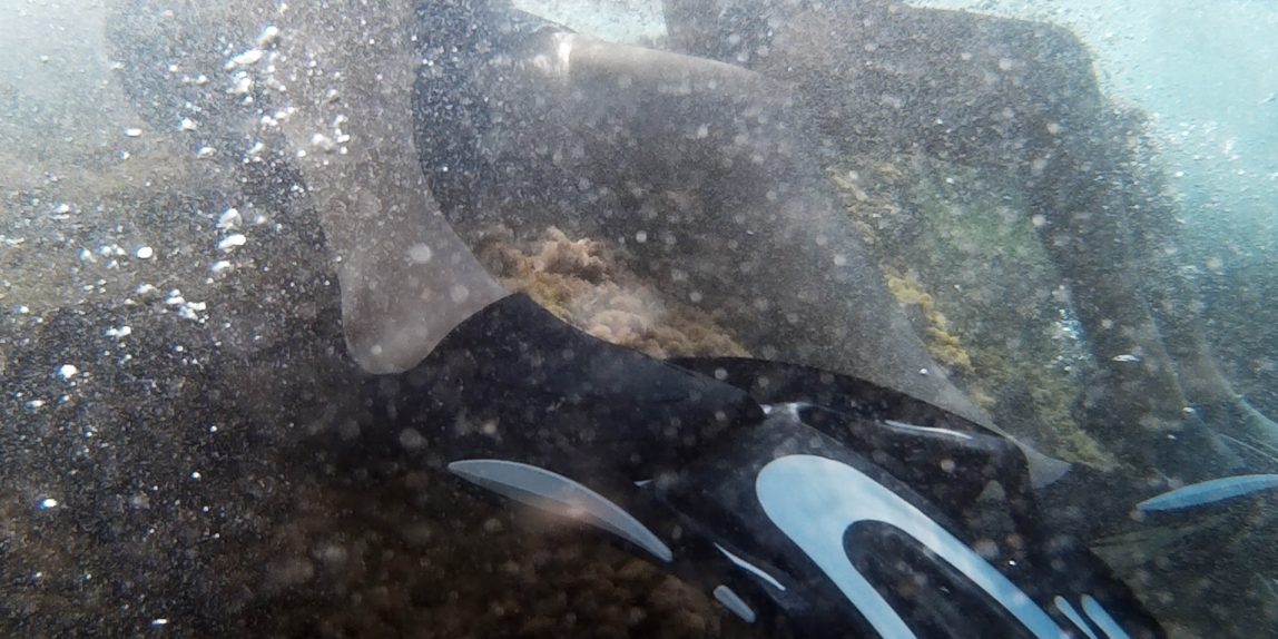 Underwater Mary Di Mauro